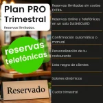 Plan PRO - Trimestral